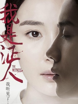 我是证人剧情介绍_纵横剧情网