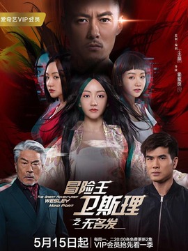 冒险王卫斯理之无名发剧情介绍_纵横剧情网