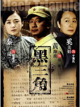 黑三角剧情介绍_纵横剧情网