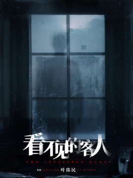 看不见的客人2023剧情介绍_纵横剧情网