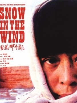 雪花那个飘剧情介绍_纵横剧情网
