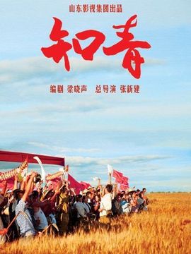 知青剧情介绍_纵横剧情网