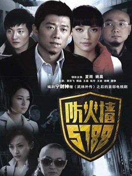 防火墙5788剧情介绍_纵横剧情网