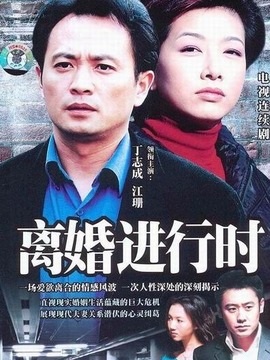 离婚进行时剧情介绍_纵横剧情网