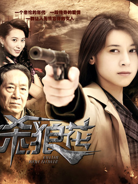 杀狼花剧情介绍_纵横剧情网