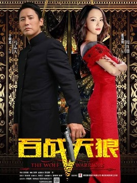 百战天狼剧情介绍_纵横剧情网