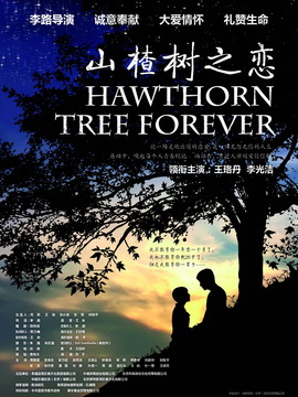 山楂树之恋剧情介绍_纵横剧情网
