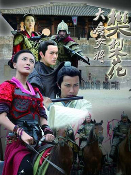 大唐女将樊梨花剧情介绍_纵横剧情网