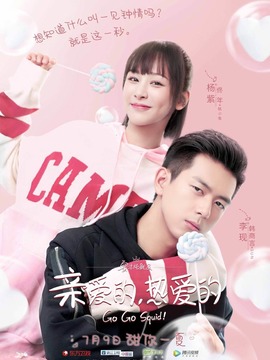 亲爱的，热爱的剧情介绍_纵横剧情网