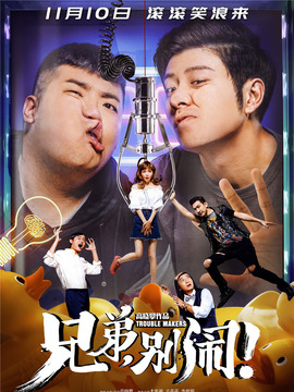 兄弟，别闹！剧情介绍_纵横剧情网