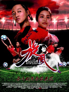 旋风女队剧情介绍_纵横剧情网