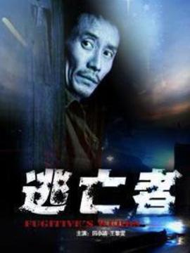 逃亡者剧情介绍_纵横剧情网