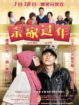 亲家过年剧情介绍_纵横剧情网