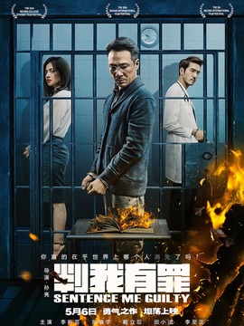 判我有罪剧情介绍_纵横剧情网