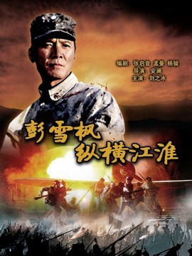 彭雪枫纵横江淮剧情介绍_纵横剧情网