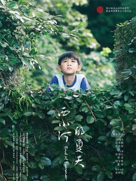 西小河的夏天剧情介绍_纵横剧情网
