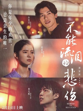 不能流泪的悲伤剧情介绍_纵横剧情网