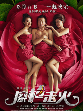 擦枪走火剧情介绍_纵横剧情网