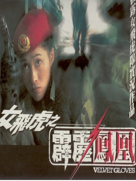 霹雳凤凰剧情介绍_纵横剧情网