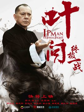 叶问：终极一战剧情介绍_纵横剧情网