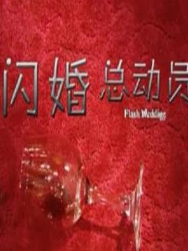 闪婚总动员剧情介绍_纵横剧情网