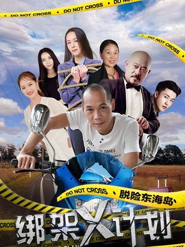 绑架X计划剧情介绍_纵横剧情网