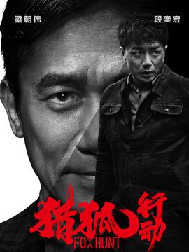 猎狐行动剧情介绍_纵横剧情网