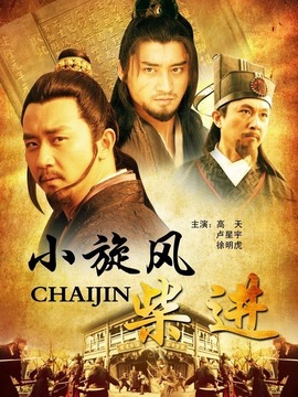 小旋风柴进之逼上梁山剧情介绍_纵横剧情网