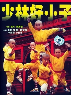 少林龙小子剧情介绍_纵横剧情网