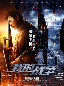 我的战争剧情介绍_纵横剧情网