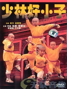 少林好小子剧情介绍_纵横剧情网