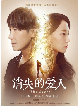 消失的爱人剧情介绍_纵横剧情网