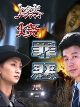 燃烧罪恶剧情介绍_纵横剧情网