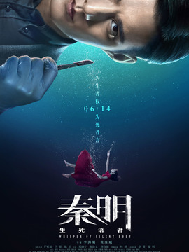 秦明·生死语者剧情介绍_纵横剧情网
