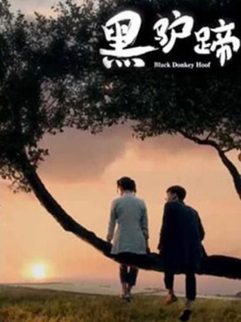 黑驴蹄剧情介绍_纵横剧情网