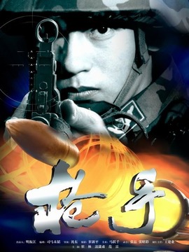 枪手剧情介绍_纵横剧情网