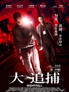 大追捕剧情介绍_纵横剧情网