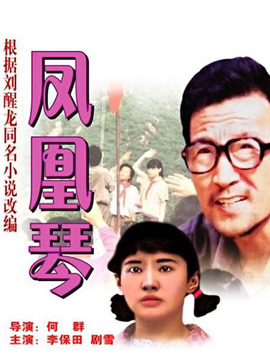 凤凰琴剧情介绍_纵横剧情网
