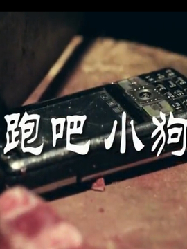 奔跑吧！狗狗剧情介绍_纵横剧情网