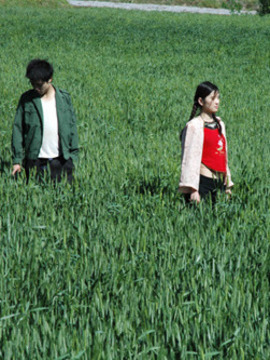 麦田里的芭蕾剧情介绍_纵横剧情网