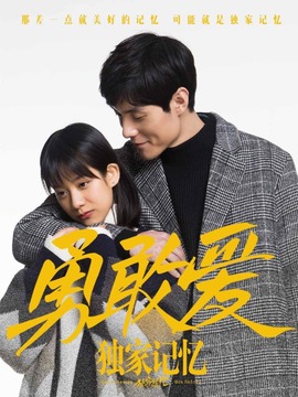 独家记忆之勇敢爱剧情介绍_纵横剧情网