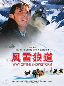 风雪狼道剧情介绍_纵横剧情网