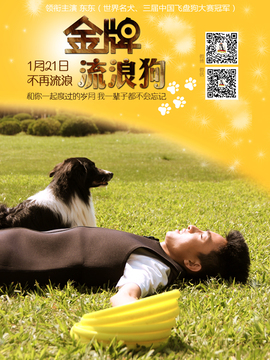 金牌流浪狗剧情介绍_纵横剧情网