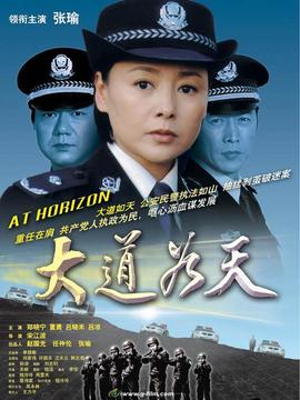 大道如天剧情介绍_纵横剧情网