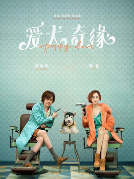 爱犬奇缘剧情介绍_纵横剧情网