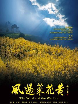 风过菜花黄剧情介绍_纵横剧情网