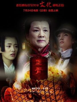 正骨剧情介绍_纵横剧情网