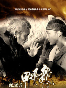 龙门飞甲纪录片剧情介绍_纵横剧情网