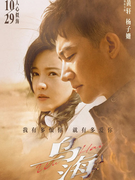 乌海剧情介绍_纵横剧情网