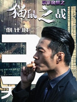 反诈风暴之猫鼠之战剧情介绍_纵横剧情网